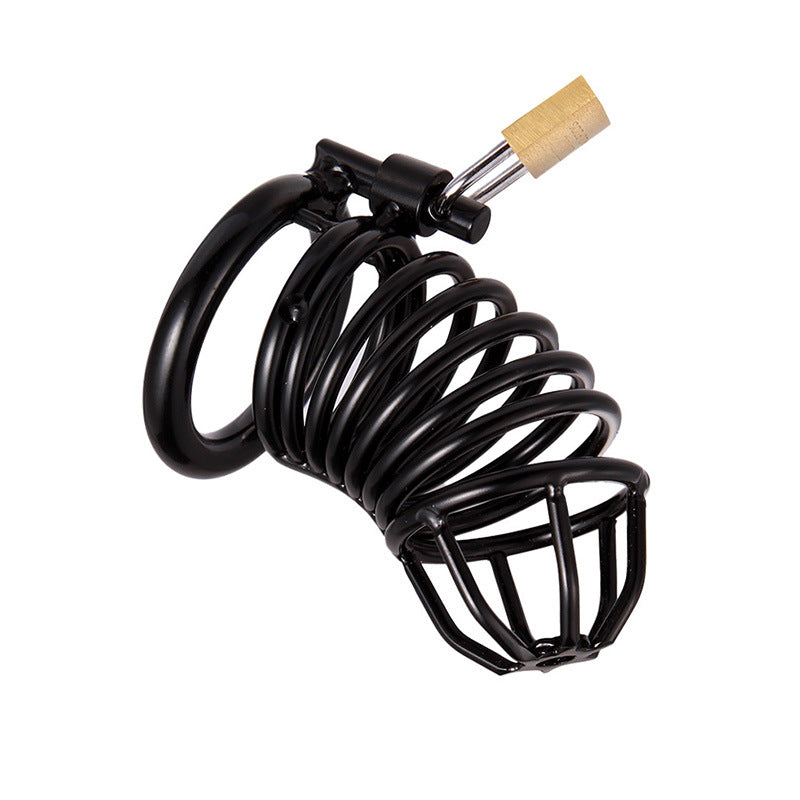Purple Metal Chastity Cage β Male Locking Cage with Key