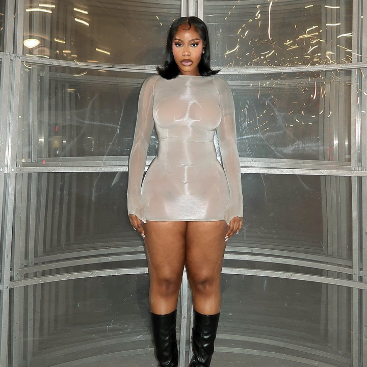 Glossy Sheer Bodystocking Dress