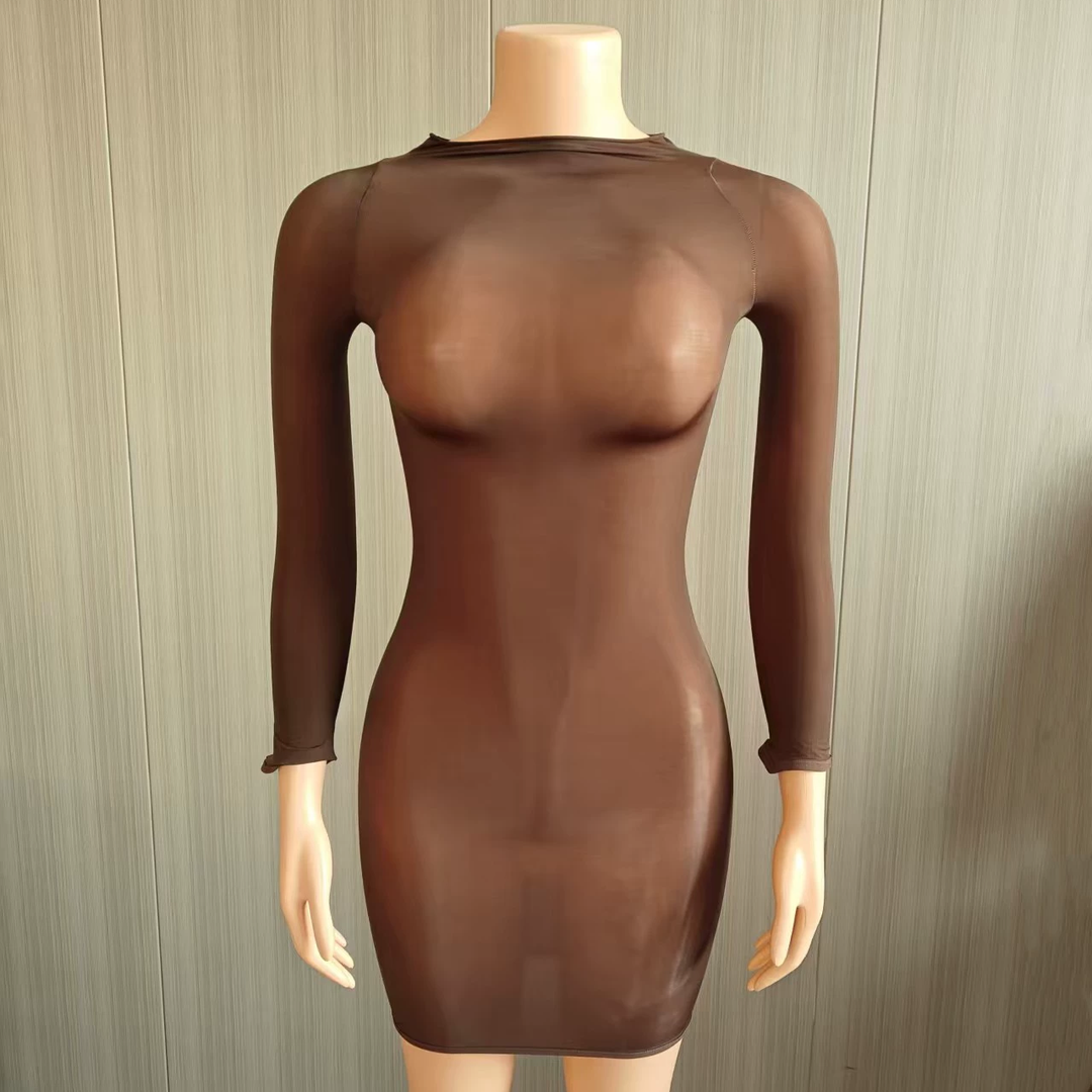 Glossy Sheer Bodystocking Dress