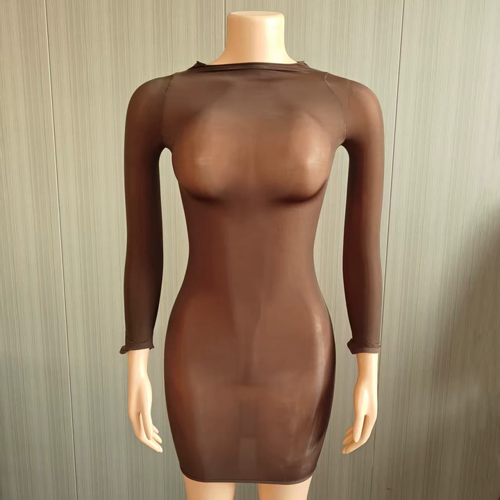 Glossy Sheer Bodystocking Dress