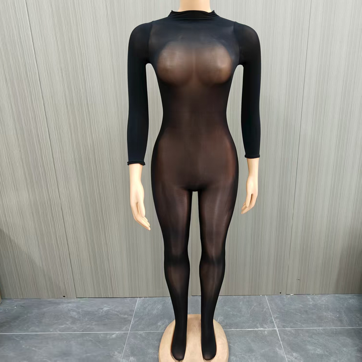 Glossy Sheer Seamless Bodystocking Catsuit