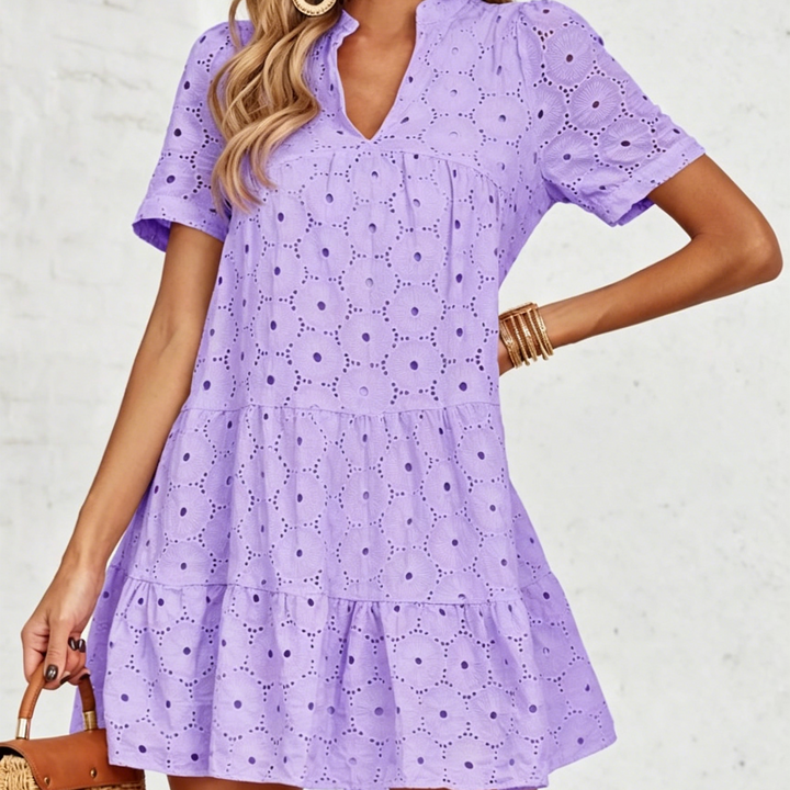 Elegant Eyelet Embroidered V-Neck Mini Dress