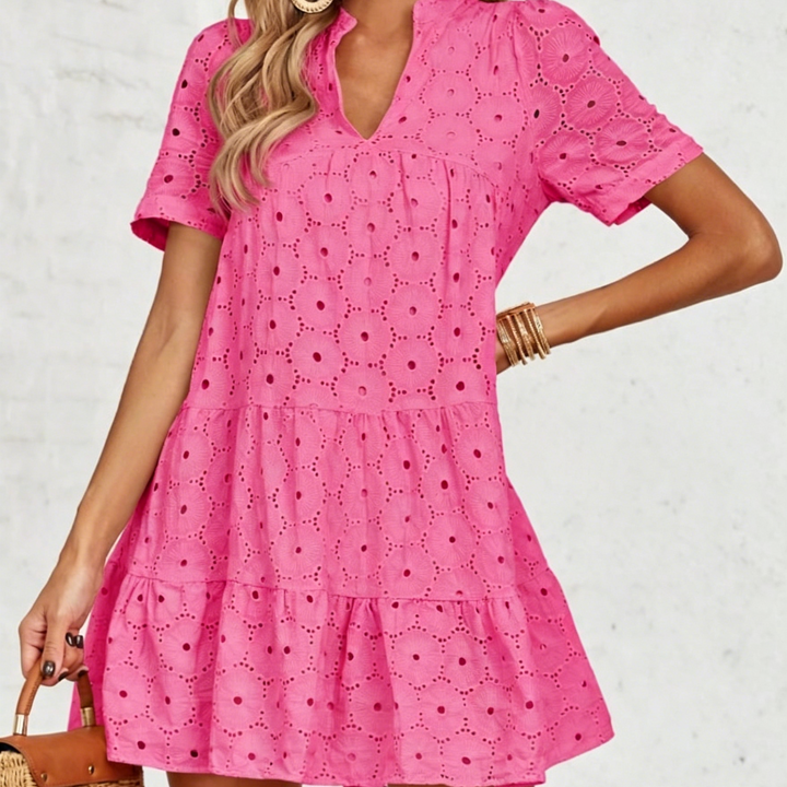 Elegant Eyelet Embroidered V-Neck Mini Dress