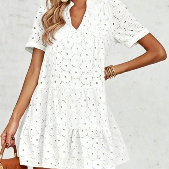 Elegant Eyelet Embroidered V-Neck Mini Dress