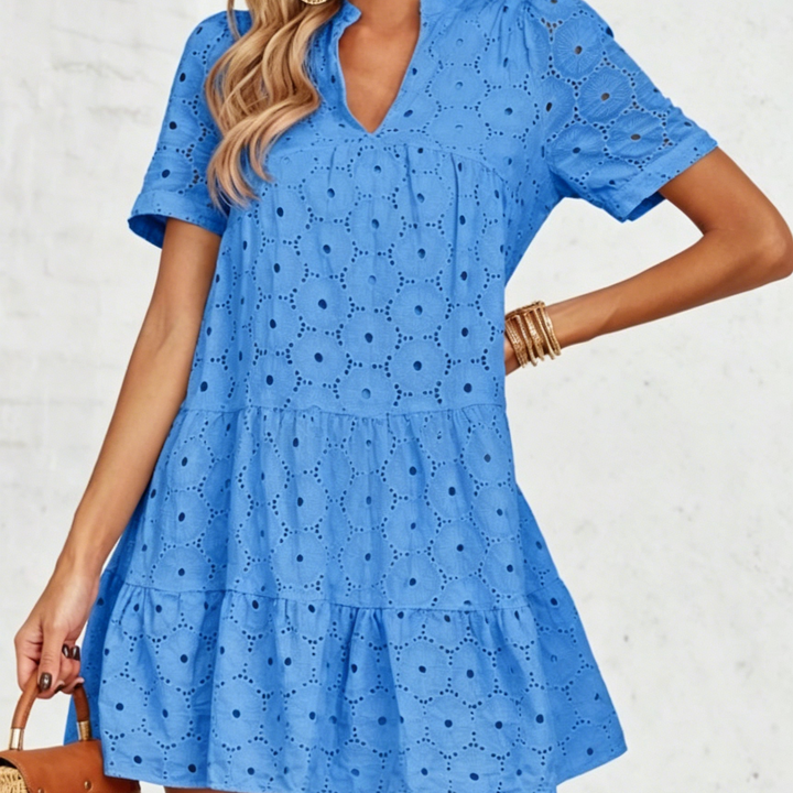 Elegant Eyelet Embroidered V-Neck Mini Dress