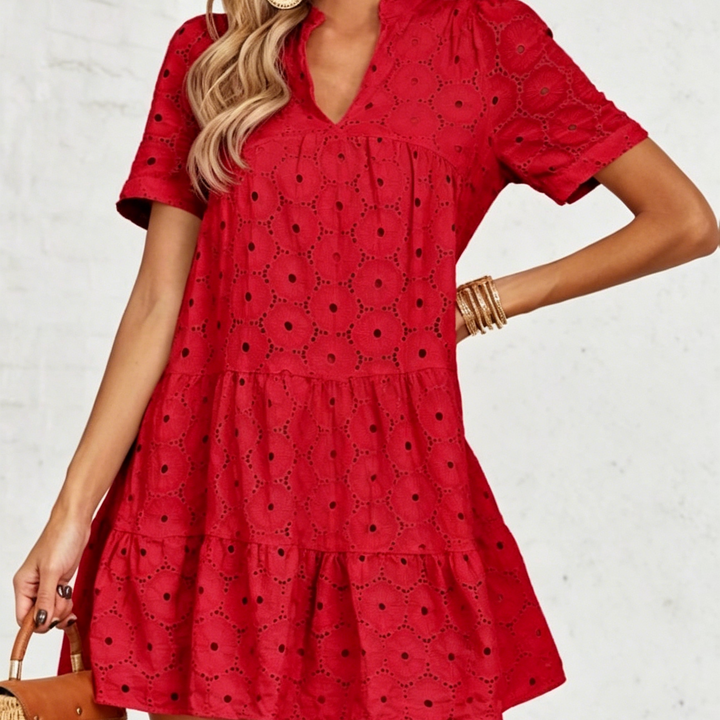 Elegant Eyelet Embroidered V-Neck Mini Dress