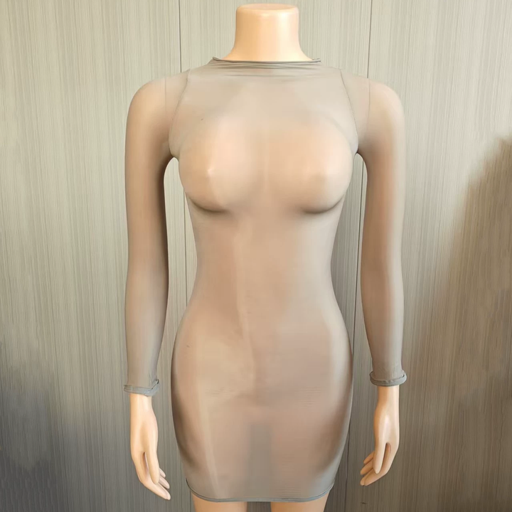 Glossy Sheer Bodystocking Dress
