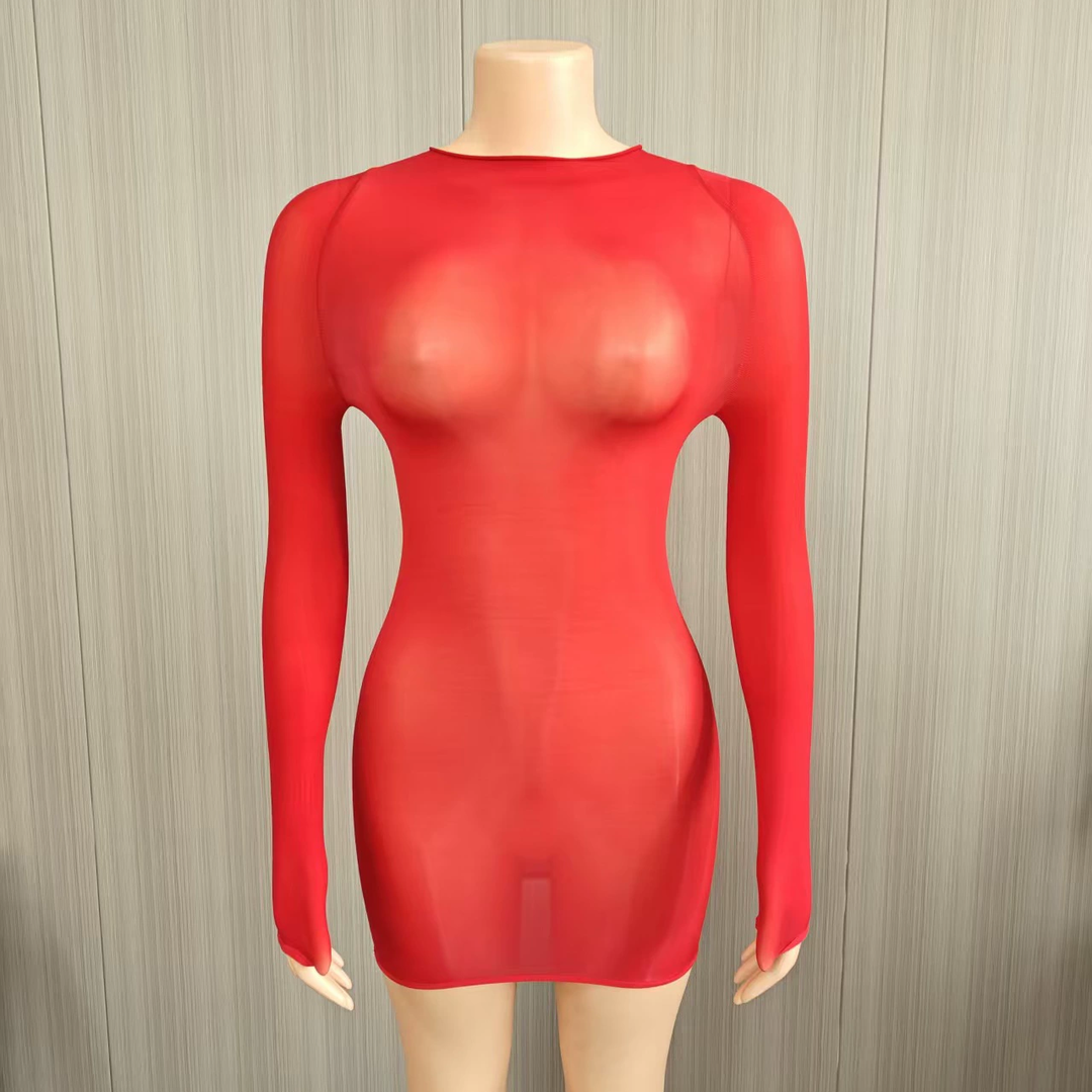 Glossy Sheer Bodystocking Dress
