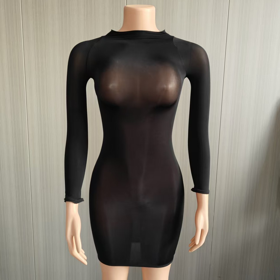 Glossy Sheer Bodystocking Dress
