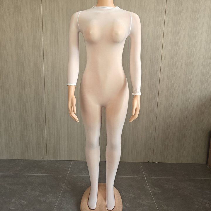 Glossy Sheer Seamless Bodystocking Catsuit