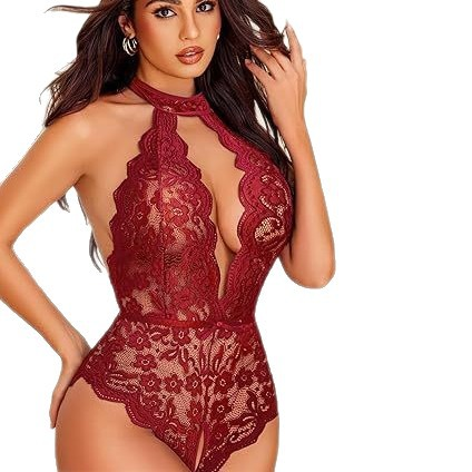 Sheer Lace Trim Bodycon Bodysuit