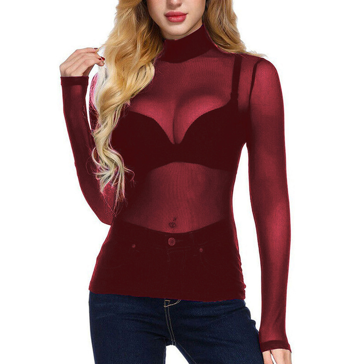 Sheer Mesh Turtleneck Slim Fit Top