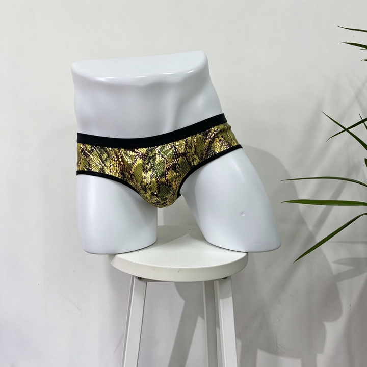 Men’s Lace Thong – Sheer Floral Detail