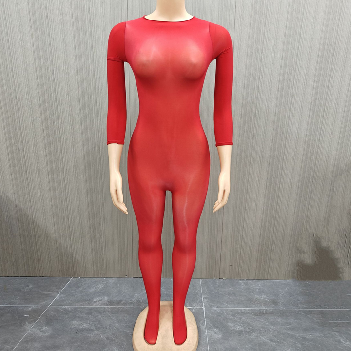 Glossy Sheer Seamless Bodystocking Catsuit
