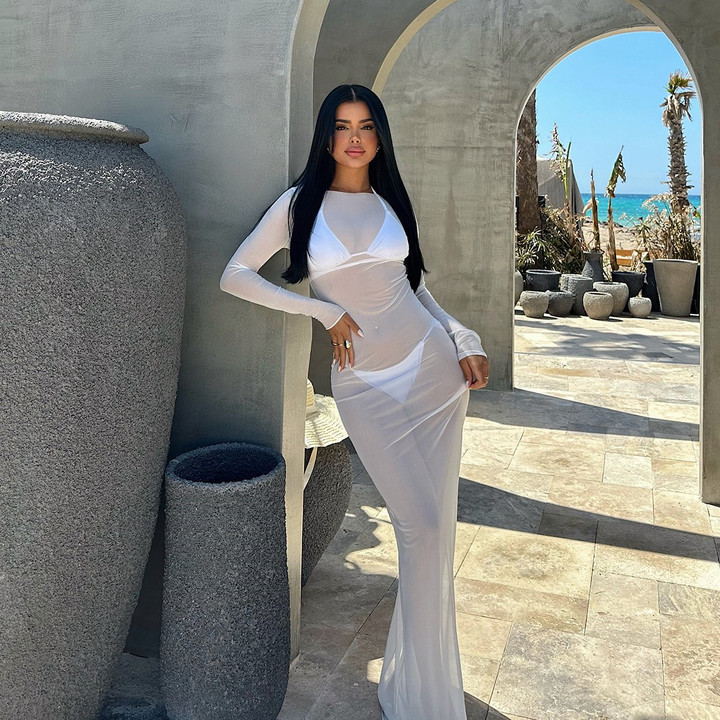 Sheer mesh bodycon maxi dress