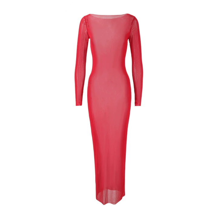 Sheer mesh bodycon maxi dress
