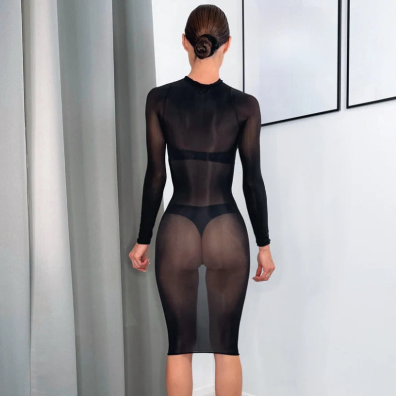 Glossy Sheer Nylon Mid-Length Bodycon Dress