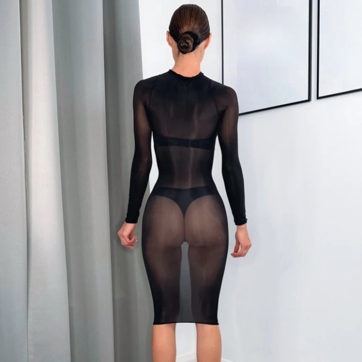 Glossy Sheer Nylon Mid-Length Bodycon Dress