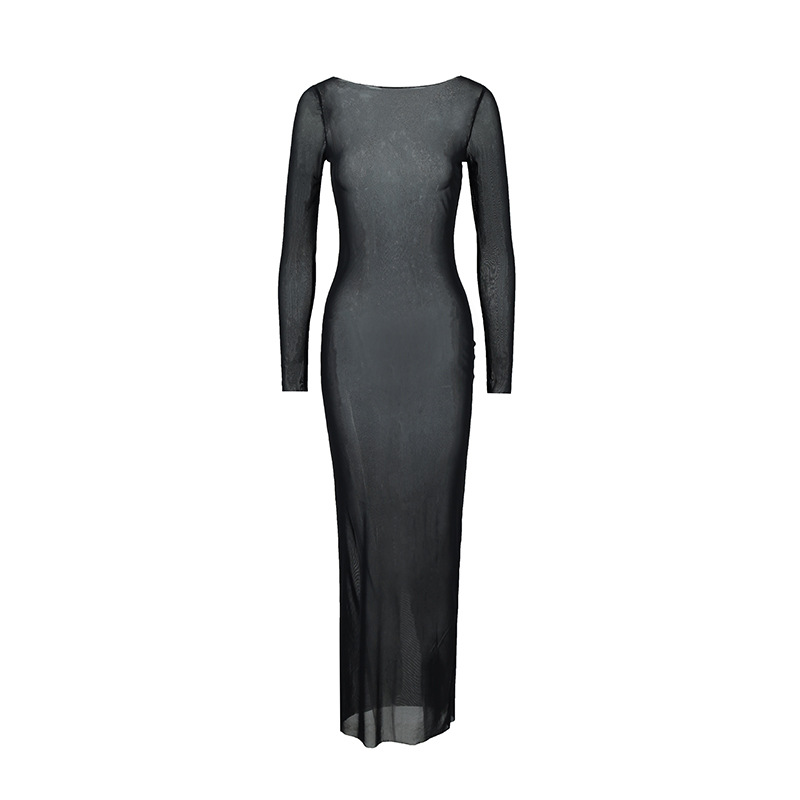 Sheer mesh bodycon maxi dress