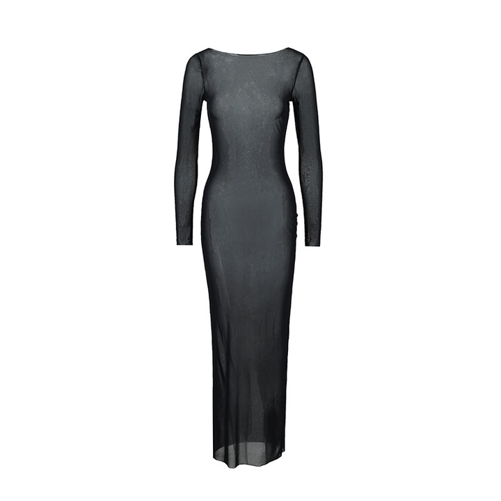 Sheer mesh bodycon maxi dress