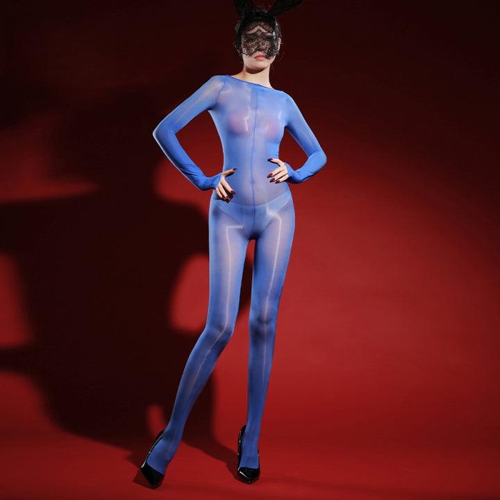 Glossy Full-Body Sheer Bodystocking