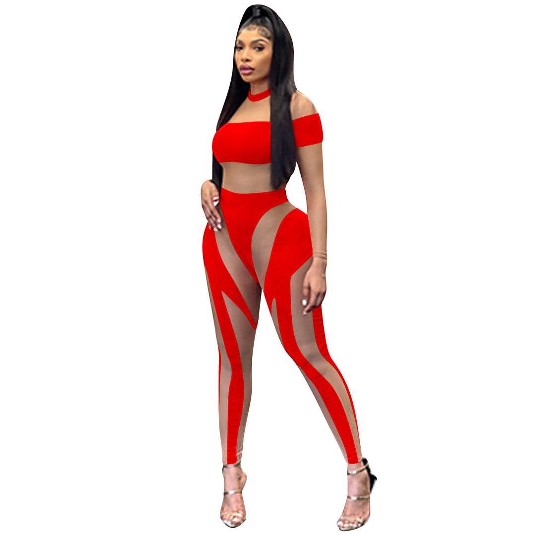 Sheer Mesh Splice Long Sleeve Bodycon Bodysuit