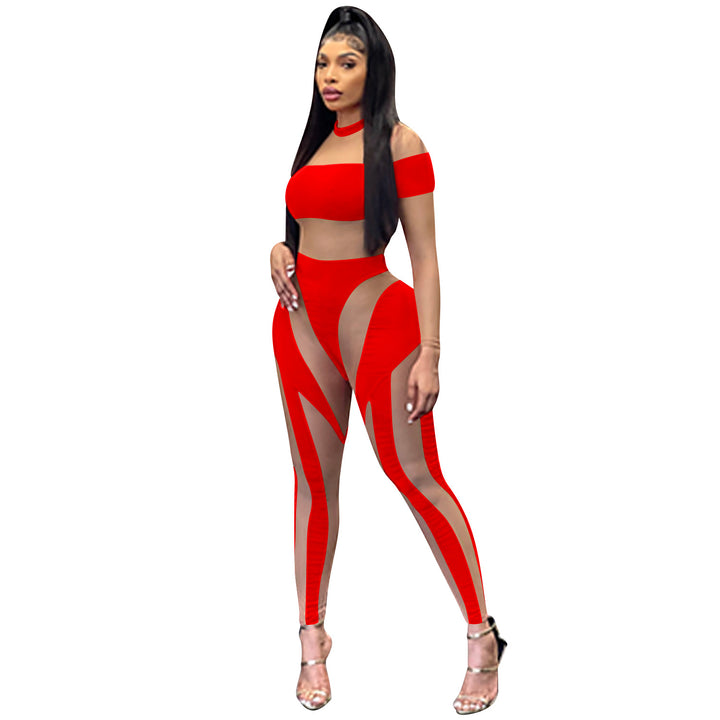 Sheer Mesh Splice Long Sleeve Bodycon Bodysuit