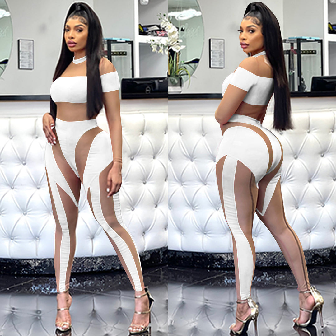 Sheer Mesh Splice Long Sleeve Bodycon Bodysuit
