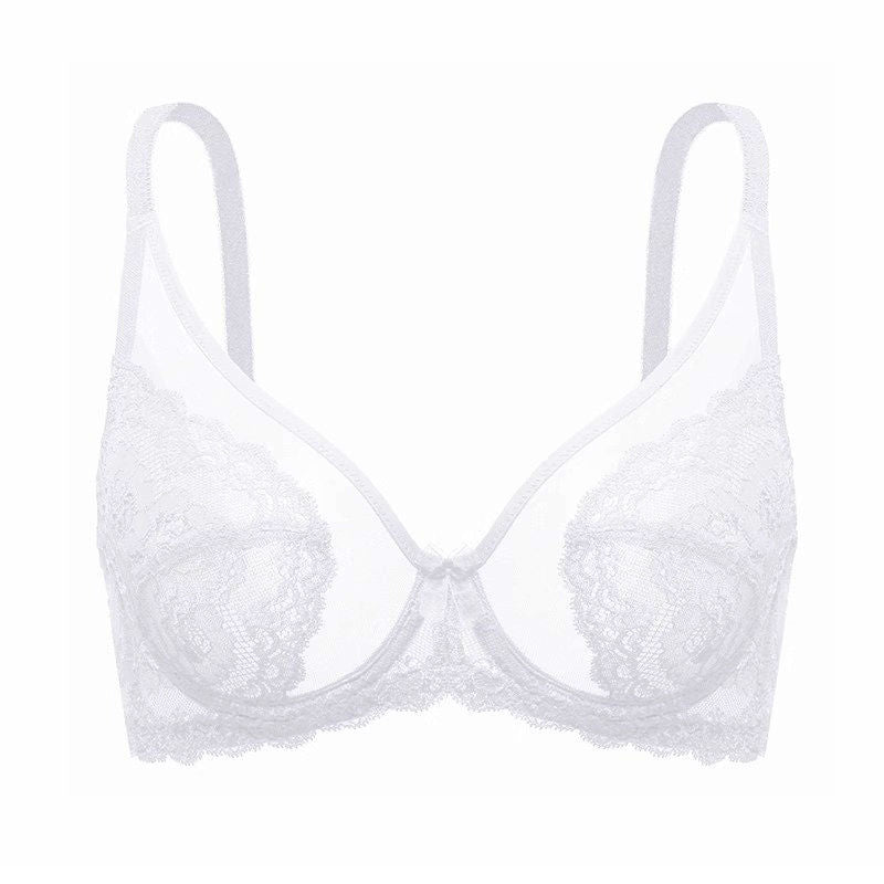 Plus-Size Sheer Lace Underwire Full-Cup Bra