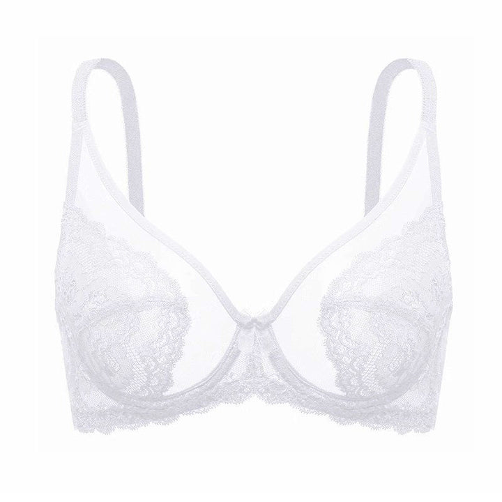 Plus-Size Sheer Lace Underwire Full-Cup Bra