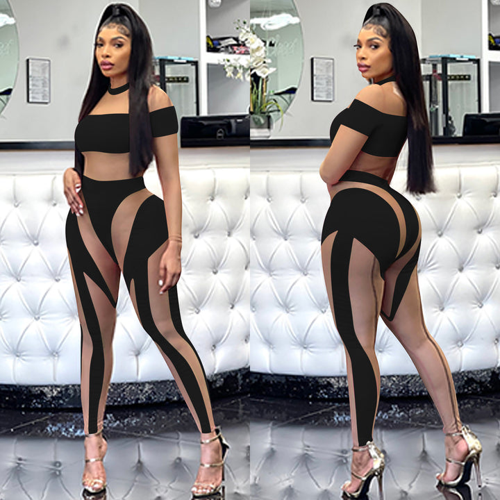 Sheer Mesh Splice Long Sleeve Bodycon Bodysuit