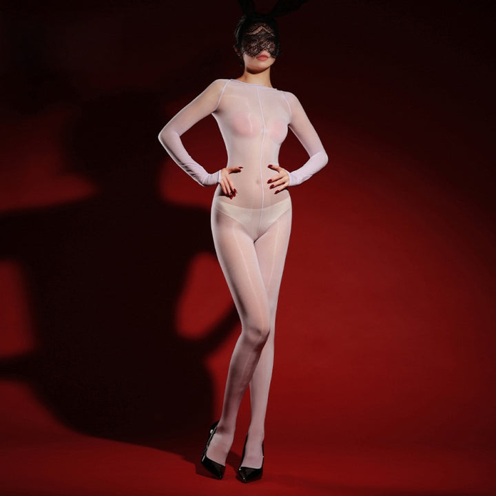 Glossy Full-Body Sheer Bodystocking