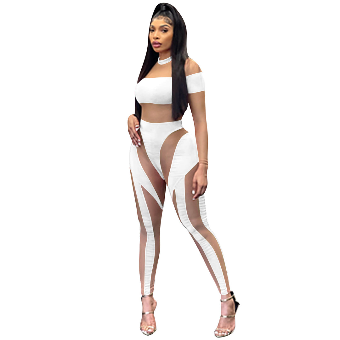 Sheer Mesh Splice Long Sleeve Bodycon Bodysuit
