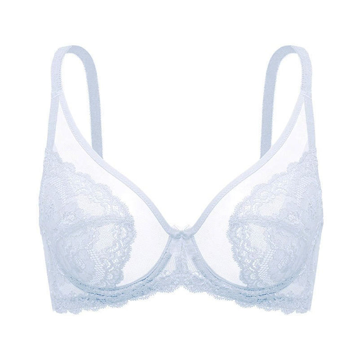 Plus-Size Sheer Lace Underwire Full-Cup Bra