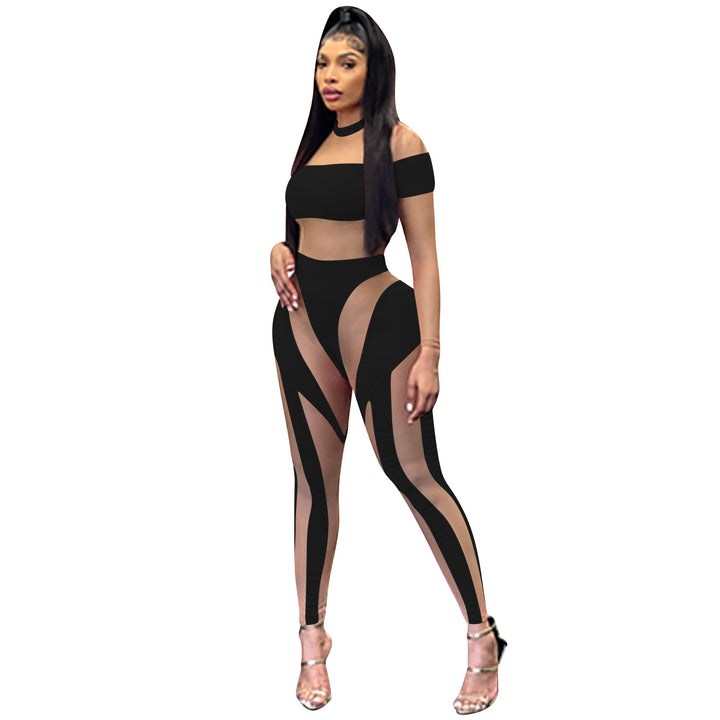 Sheer Mesh Splice Long Sleeve Bodycon Bodysuit