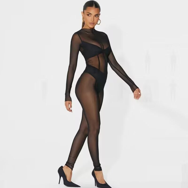 Sheer Long Sleeve Paneled Bodysuit