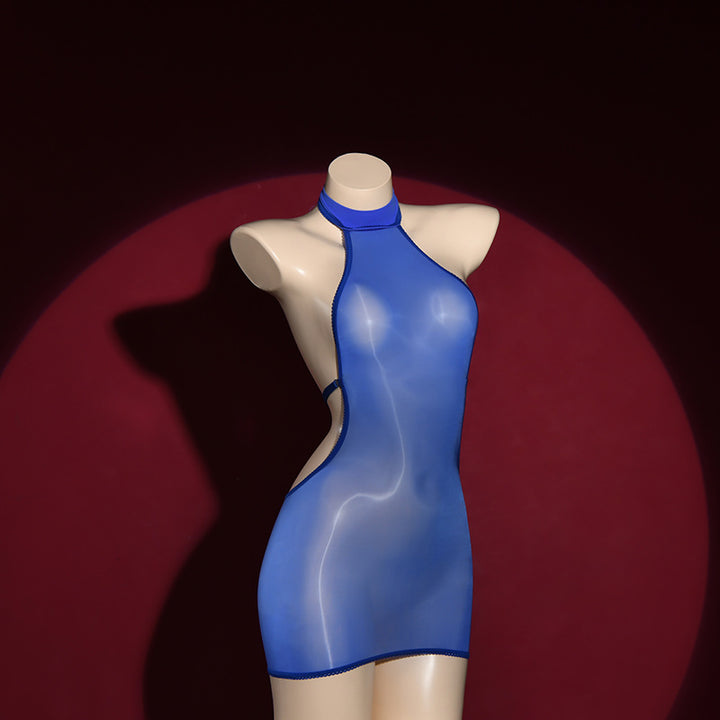 Ultra-Sheer Glossy Bodycon Dress