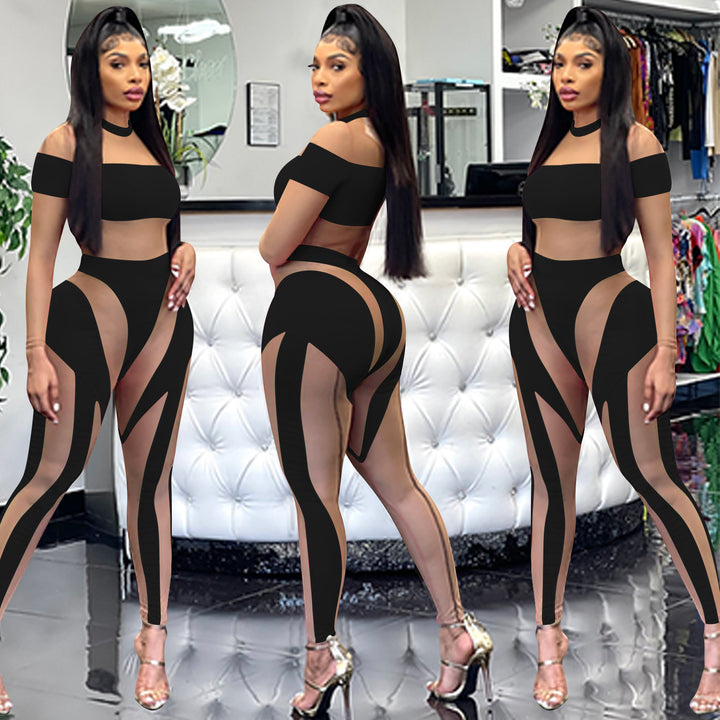 Sheer Mesh Splice Long Sleeve Bodycon Bodysuit