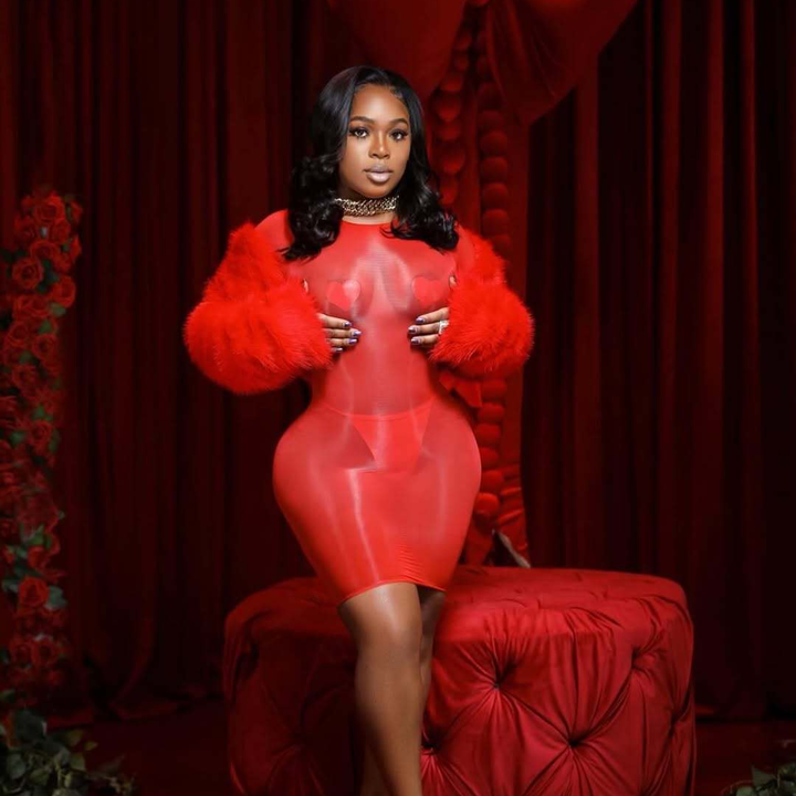 Glossy Sheer Bodystocking Dress