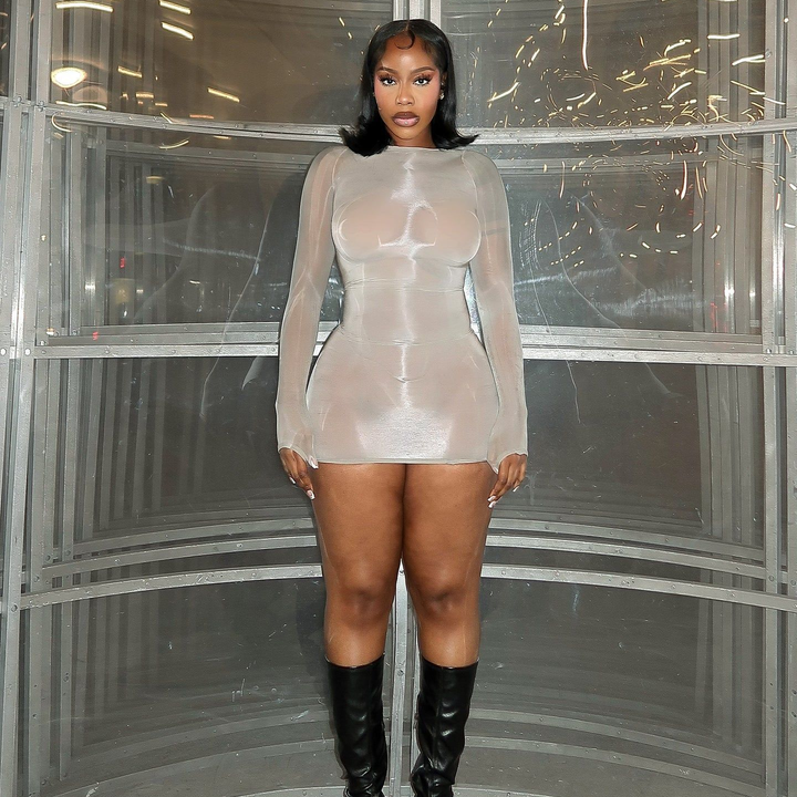 Glossy Sheer Bodystocking Dress