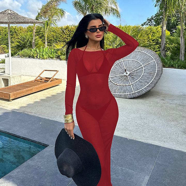 Sheer mesh bodycon maxi dress